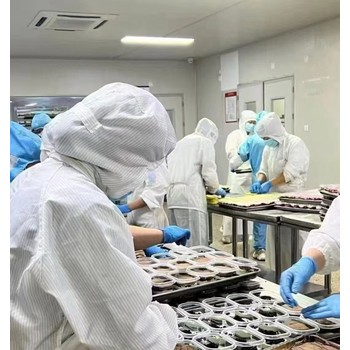 加拿大食品廠月結(jié)3萬(wàn)招四川攀枝花包裝工維修電工清潔工叉車司機(jī)