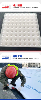 虹吸排水板工廠高分子防護(hù)排水異形片