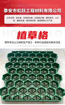 停車(chē)場(chǎng)用的植草格消防通道用小區(qū)綠化公園植草格廠家