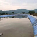 水泥毯澆水固化新型混凝土魚塘護(hù)坡鋪路水渠防水河道基坑用固水毯
