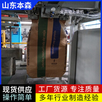 工業(yè)鹽全自動包裝機