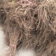 IMG_20201006_152753