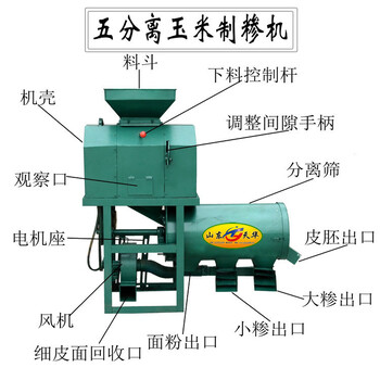 玉米脱皮制糁机/玉米打糁机