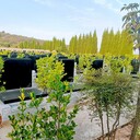 首陽(yáng)古園2023年藝術(shù)墓價(jià)格多少錢(qián)
