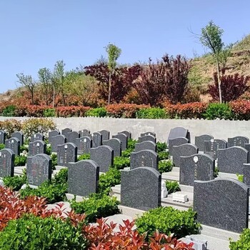 宜陽墓地價格，宜陽有公益性公墓嗎