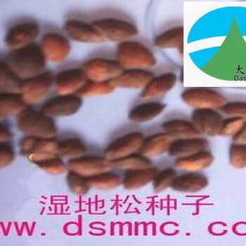 纖連蛋白FN試劑進口報關(guān)代理貨運公司