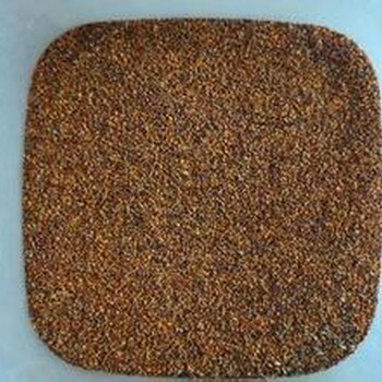 非洲植物進(jìn)口報(bào)關(guān)