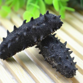 美國干海參整柜進(jìn)口報關(guān)