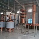果酒工廠用白蘭地蒸餾設(shè)備鮮果果渣蒸餾酒新鄉(xiāng)鑫華品質(zhì)好