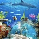 大連新海景公司海洋公園工程規劃設計與施工