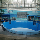 大連新海景公司海洋館規劃設計施工