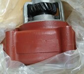 勝動(dòng)500KW瓦斯發(fā)電機(jī)冷卻水泵12V190T.22.00