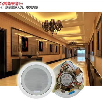 河南吸頂喇叭音響供應(yīng)公司