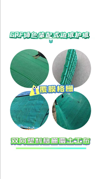 綠色格柵裝配式面層邊坡防護