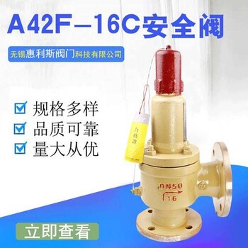 永一閥門集團(tuán)有限公司A42F天然氣安全閥