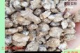 盐碱地土壤调节用麦饭石粉货源充足瑞林供应