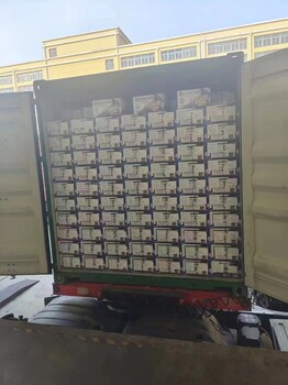 土耳其貨物清關廈門進口甜杏仁準入報關