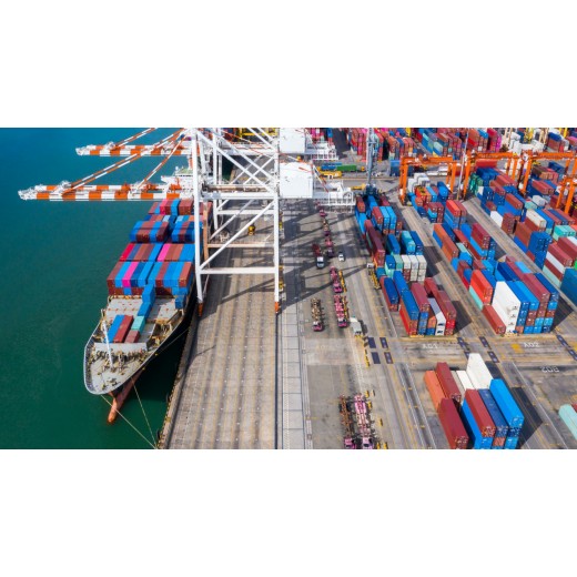 缅甸进口海底椰干上海港进口货代公司