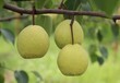 紅柱石進口報關(guān)，廣州機場清關(guān)容易出現(xiàn)哪些問題