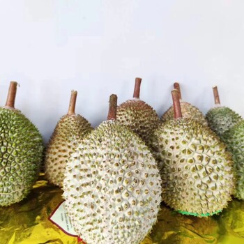 埃及芥末粉進(jìn)口報關(guān)，廣州南沙港進(jìn)口食品報關(guān)代理