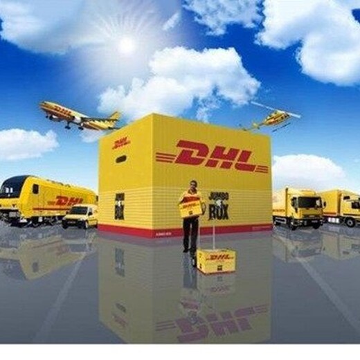 广州DHL快递被扣买单报关，DHL海关报关文件