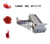 石榴鲜榨果汁设备石榴果汁设备生产线