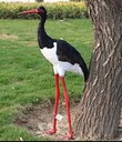 仿真濕地鳥類模型訂制