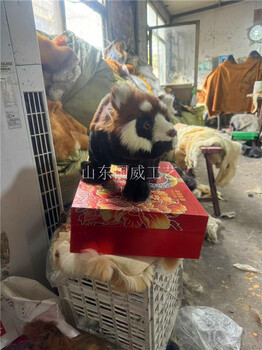 手工植毛仿真小熊貓標(biāo)本小熊貓模型