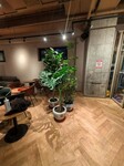 北京海淀區四季青花卉銷售