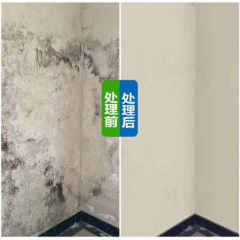 深圳家政保洁小时工家庭墙面发霉除霉去霉斑天花板霉点处理