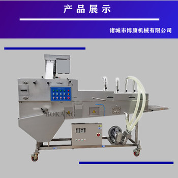 全自动平行式肉排上粉机隧道式裹粉机设备鱼排平行裹粉机器