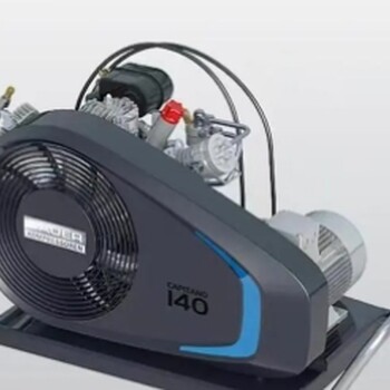 50HZ/60HZ/300BAR寶華空壓機(jī)BAUER200-TE充氣泵+自動停