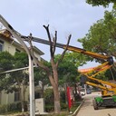 上海金山奉賢附近哪有26米直臂登高作業(yè)車價格合理