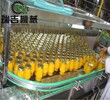 宁夏玻璃瓶输瓶线,灌装流水线,价格优惠