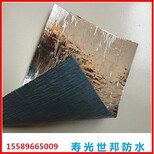 图片0