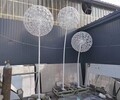 贵州玻璃钢蒲公英雕塑多少钱