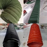 图片0