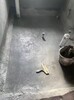 钦南区卫生间防水补漏价格