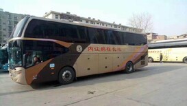 图片0