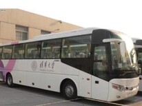 图片0