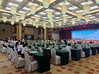 图片0