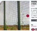山东东营防冲撞周界系统定制生产厂家