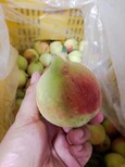 图片0