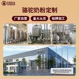 图片0