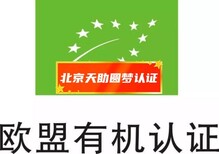 图片0