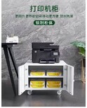 图片0