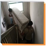 图片0