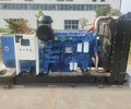 淮南田家庵哪里有发电机租赁-就找本地昌瑞恒电力