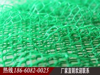 图片0