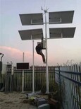 图片0